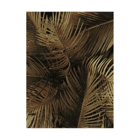 Design Fabrikken 'Golden Palm 2 Fabrikken' Canvas Art,35x47